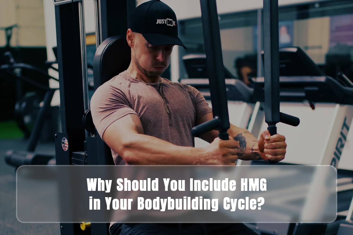 HMG in Bodybuilding Cycle