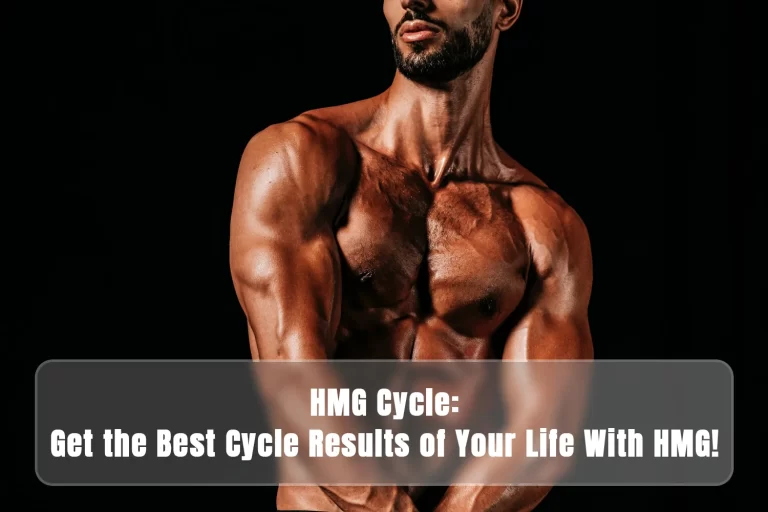 HMG Cycle