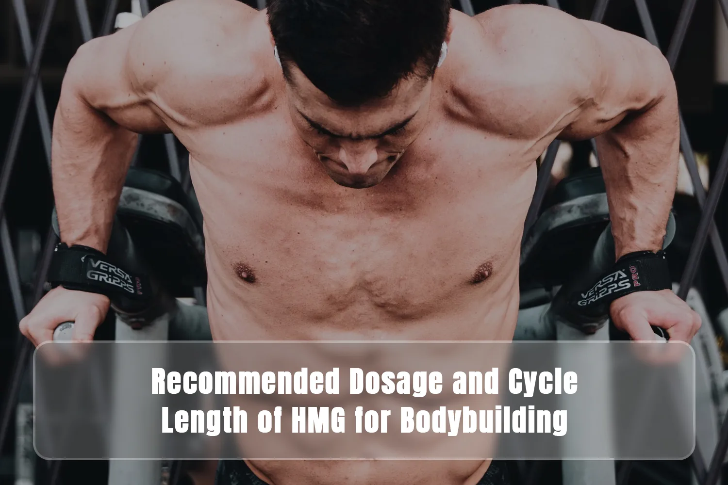 HMG for Bodybuilding Dosage