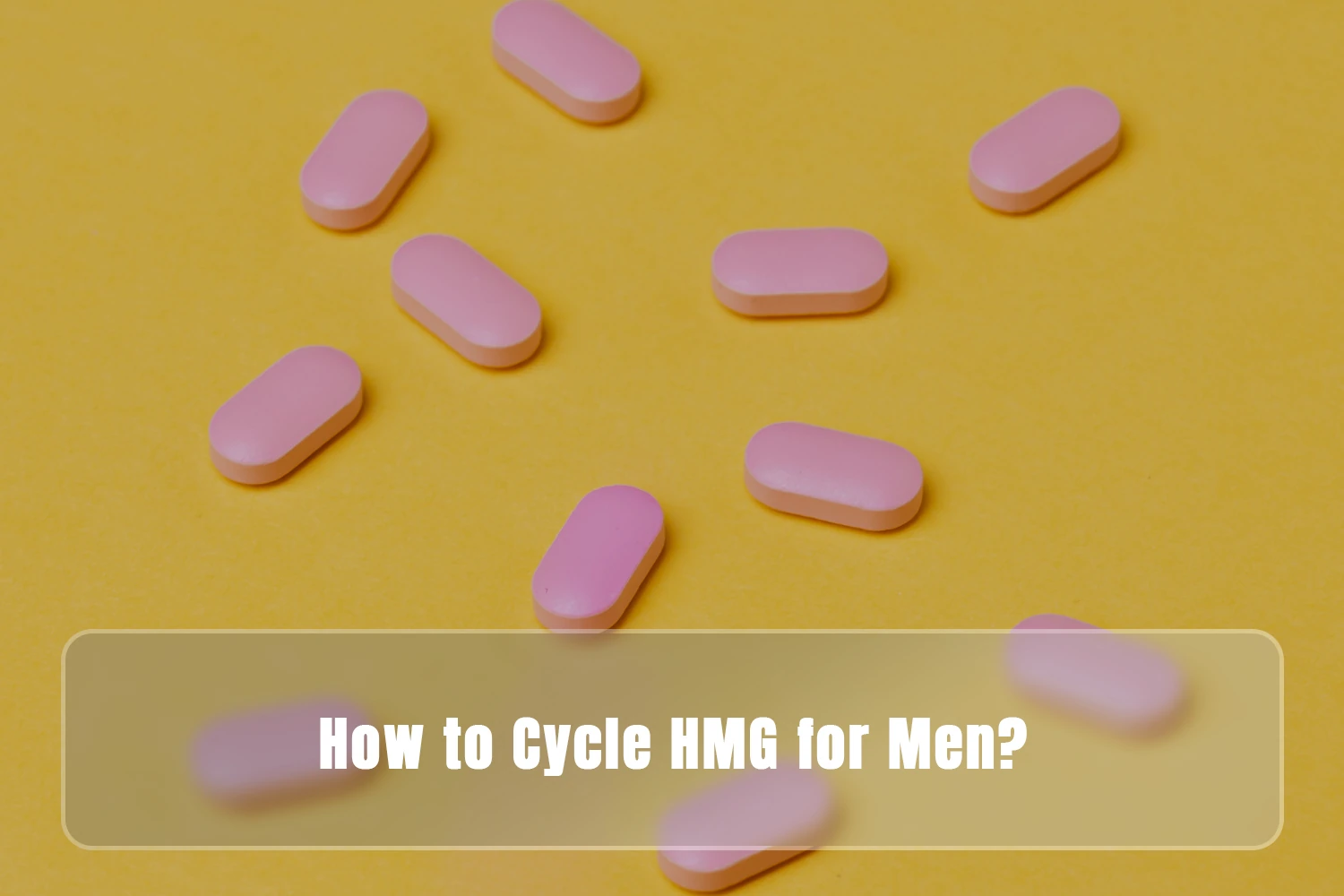 How to Cycle HMG