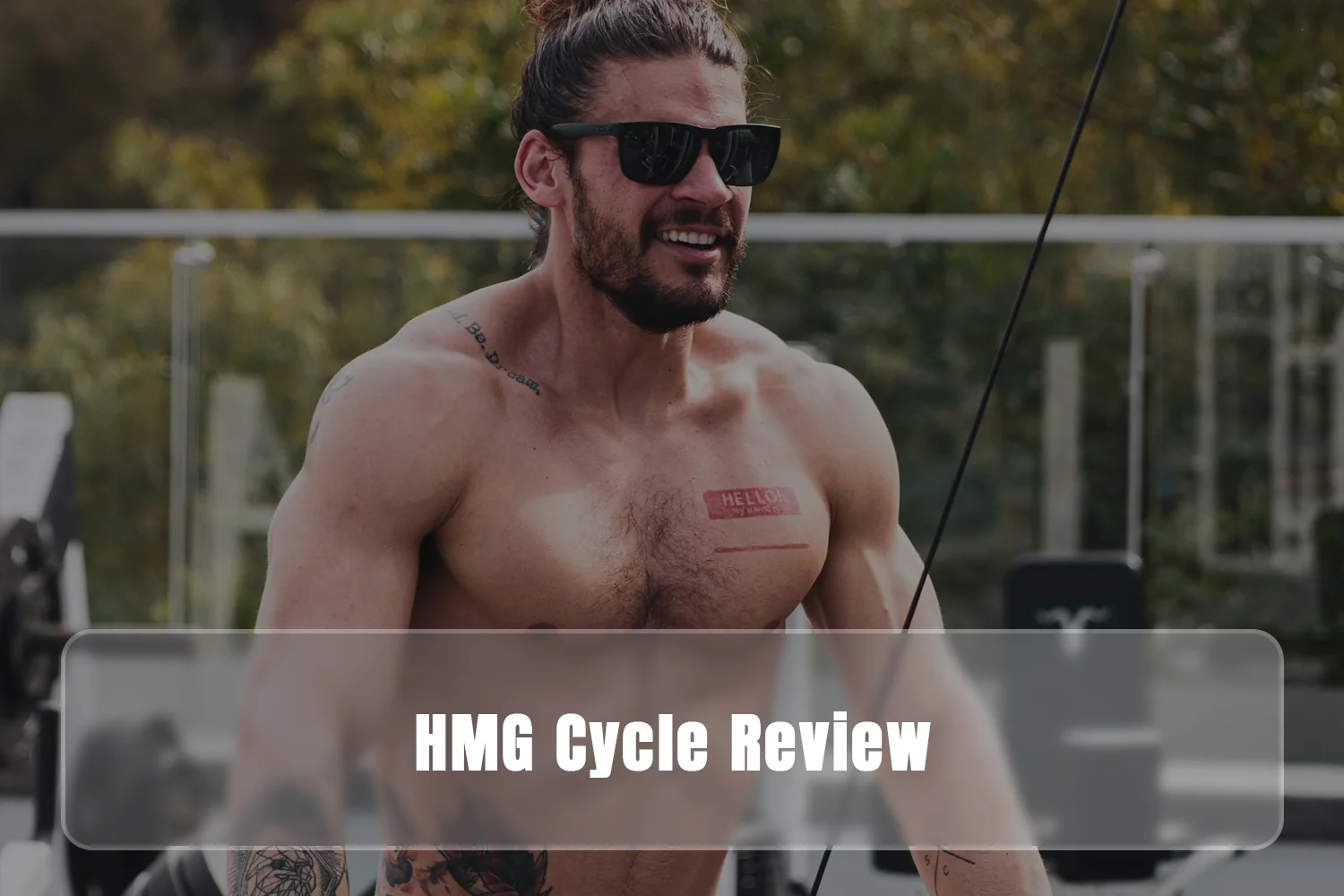 HMG Cycle Review